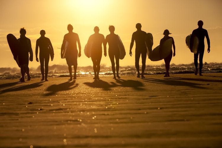 Surfers on the beach at sunset