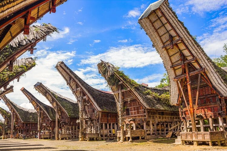 A view of the traditional Sulawesi architecture