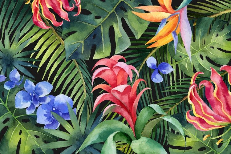 Art mural depicting colourful Caribbean foliage