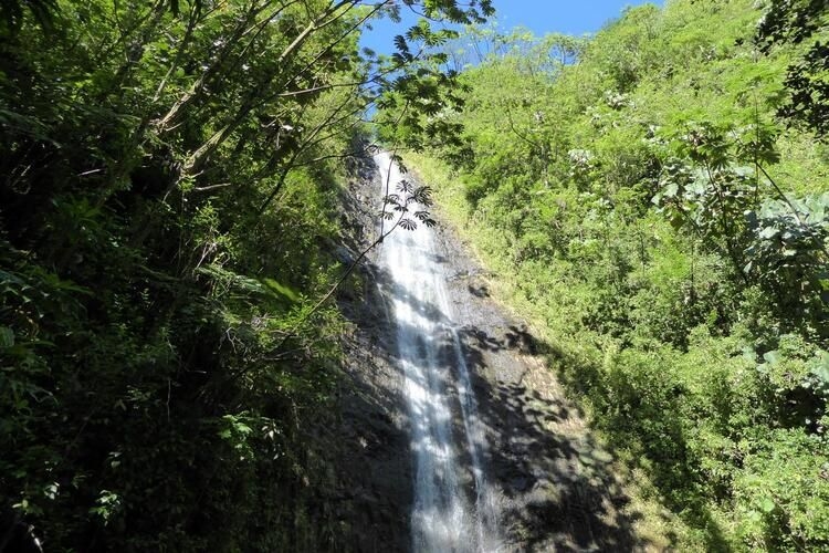 Honolulu things to do in Hawaii, Honolulu vacation rentals, Manoa Falls hike, Top Villas