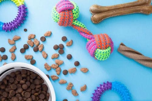 A selection of dog toys and treats against a pale blue background