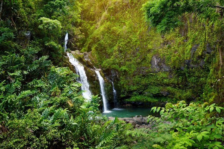 mexico-vs-hawaii-vacation-waterfall.jpg