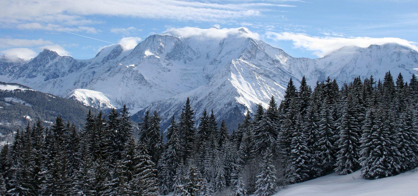 Mont d' Arbois chalets, Top Villas