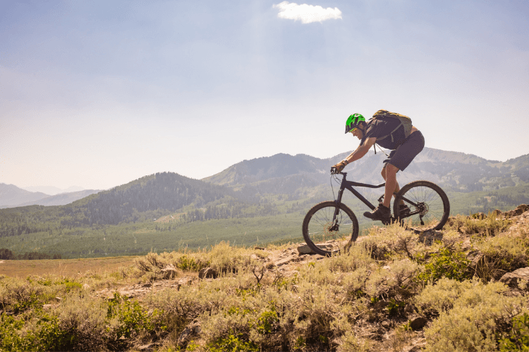 mountain biking