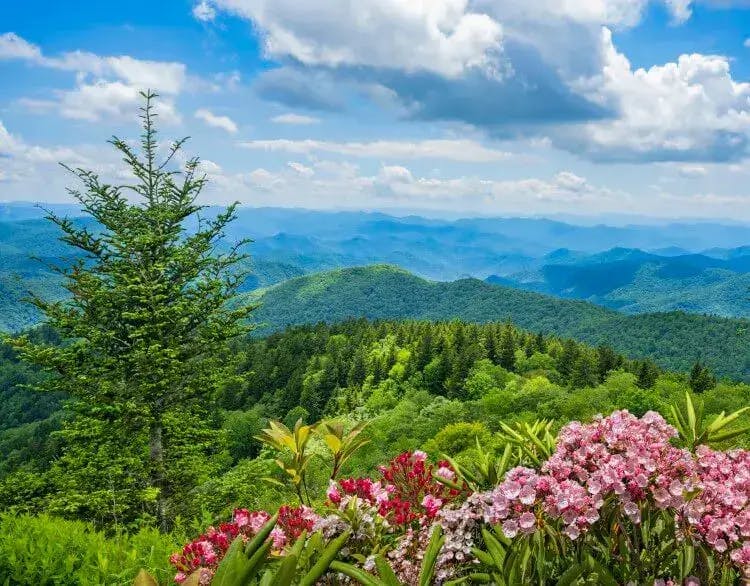 View of the Great Smoky Mountains in springtime