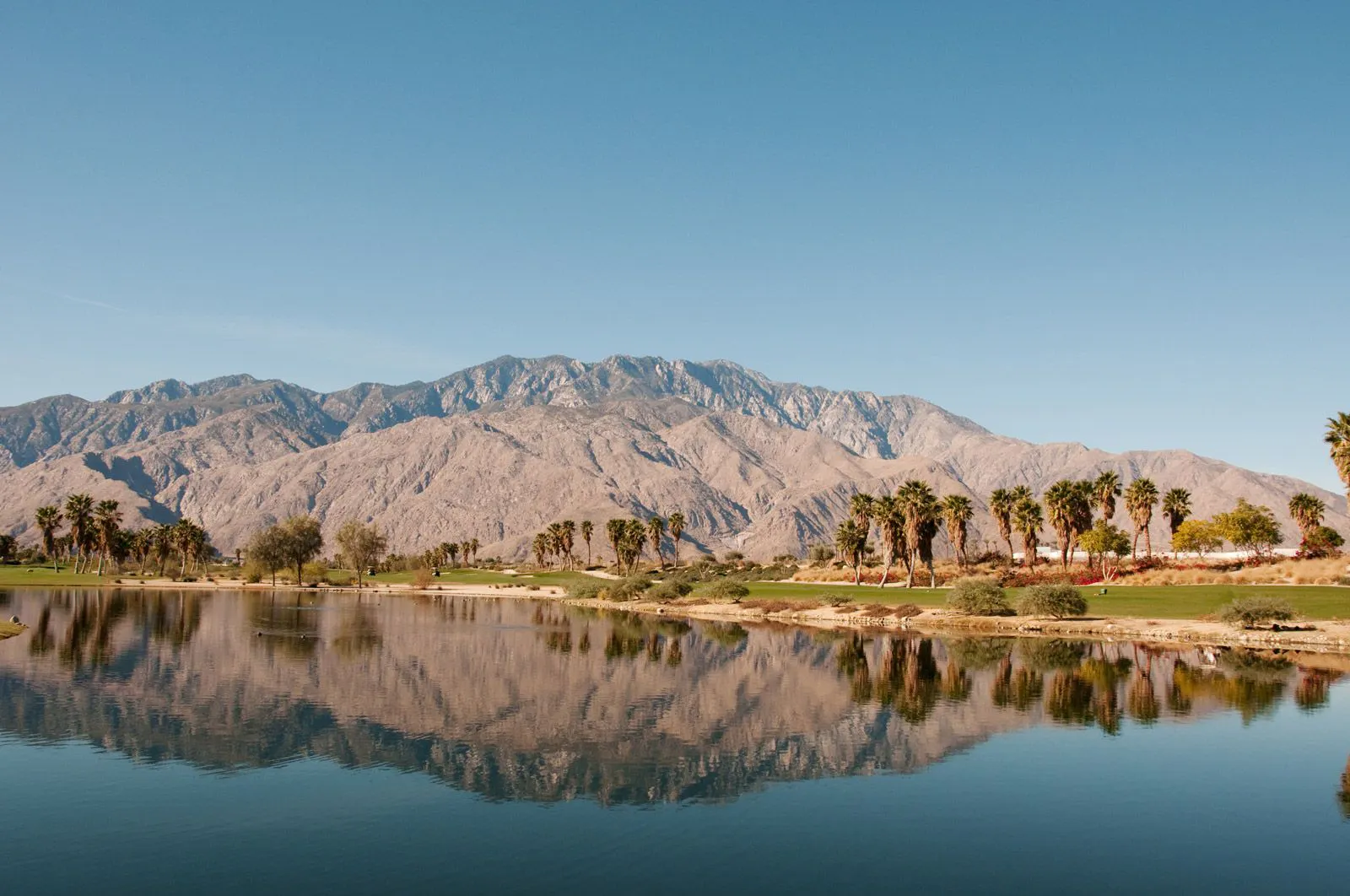 Mountains in Palm Springs reflected in still water with palm trees
