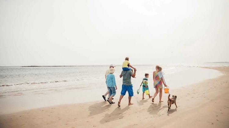 Family walking a long a beach with a dog