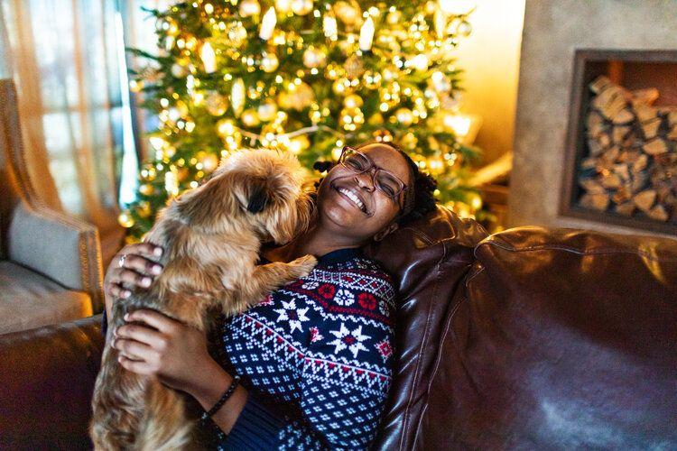 Pet-friendly villas for Christmas, Top Villas