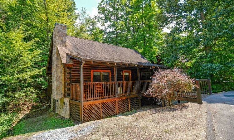 Pet friendly cabins in Pigeon Forge Tennessee - Pigeon Forge 44 small cabin in the forest