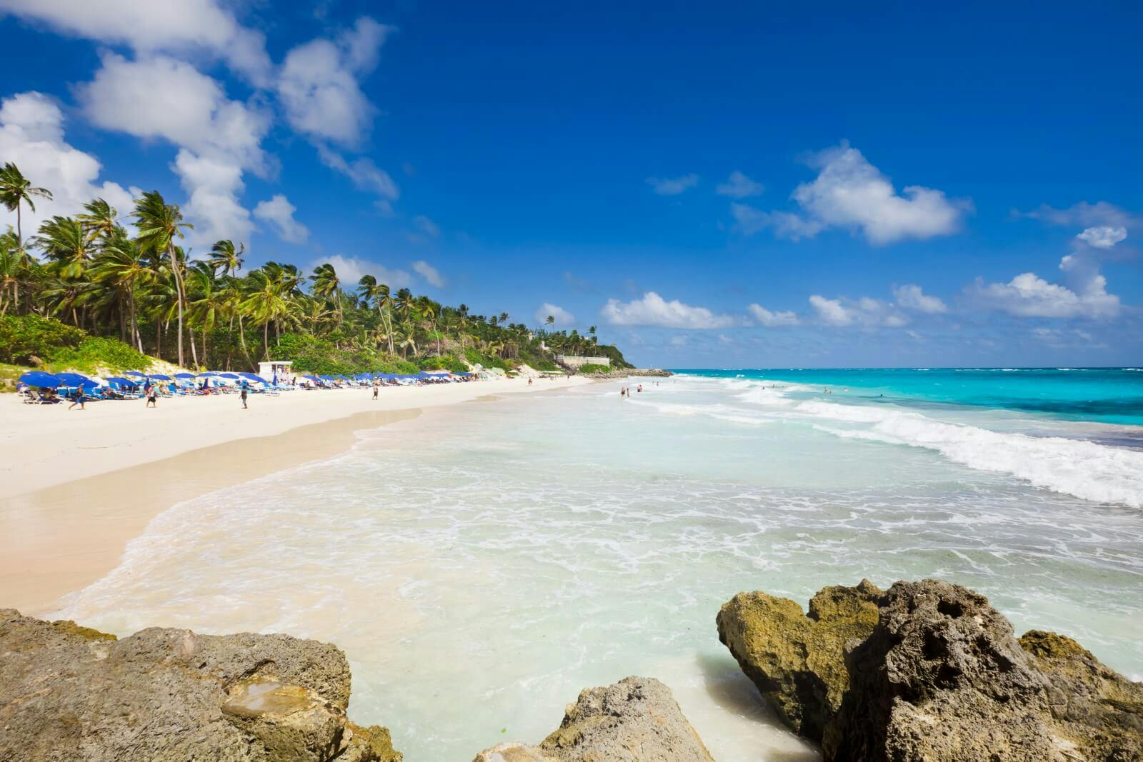 A white sand beach and palm forest in Barbados