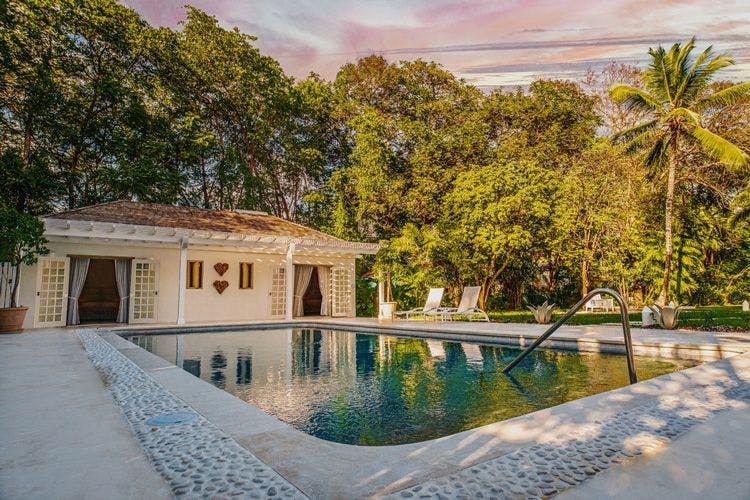 Reeds Bay Barbados villas with private pools - Banyan House small villa with private pool surrounded by trees