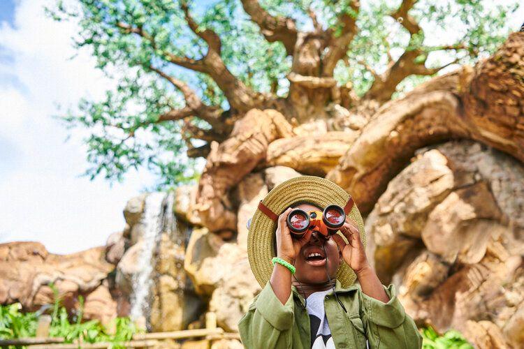 Animal Kingdom restaurants, boy looking through binoculars