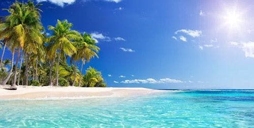 A white sand beach with palm trees