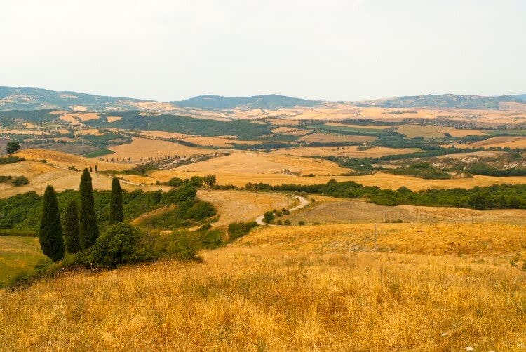 Yellow and green fields in the Tuscany countryside