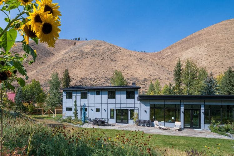 Sun Valley 60 vacation rental with sunflowers and hills
