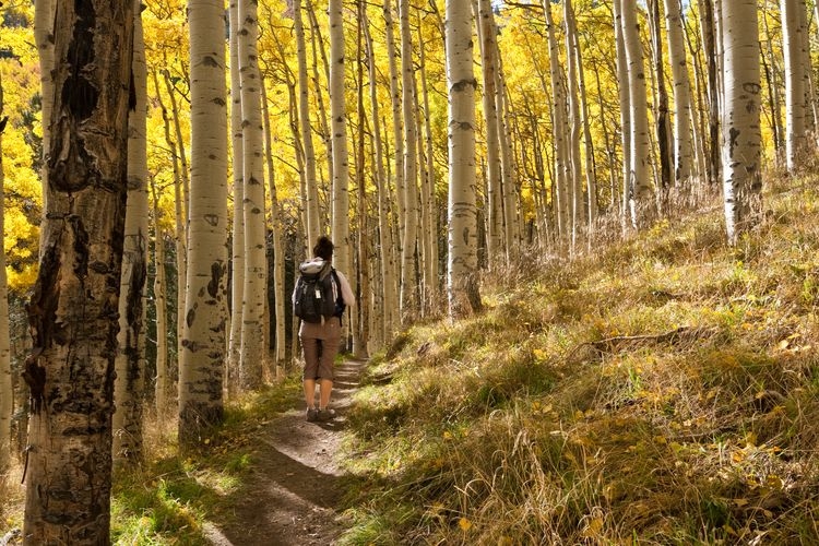 The best time to visit Arizona, fall foliage, Flagstaff, Top Villas