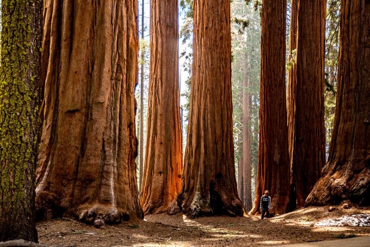 The best time to visit California, September, hiking, sequoia forest, Top Villas