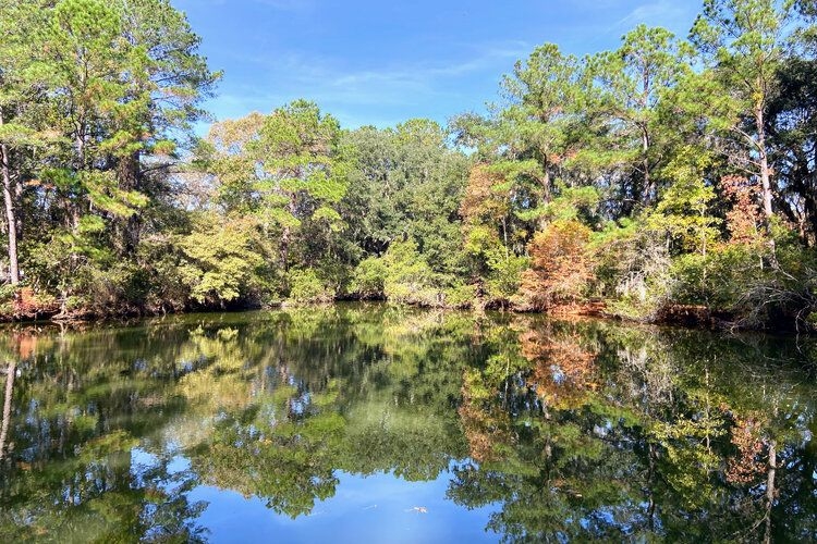 The best time to visit Charleston, SC, Jame Island County Park in November, Top Villas