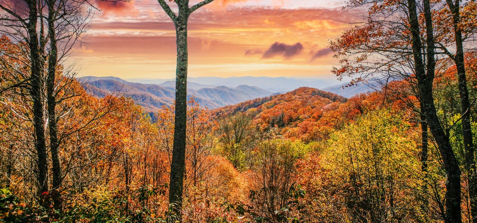 The best time to visit Gatlinburg, Top Villas