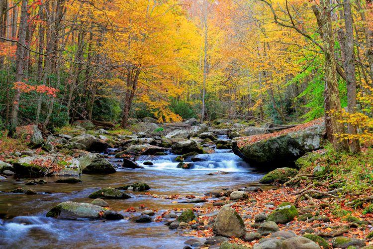 the-best-time-to-visit-great-smoky-mountains-river.jpg
