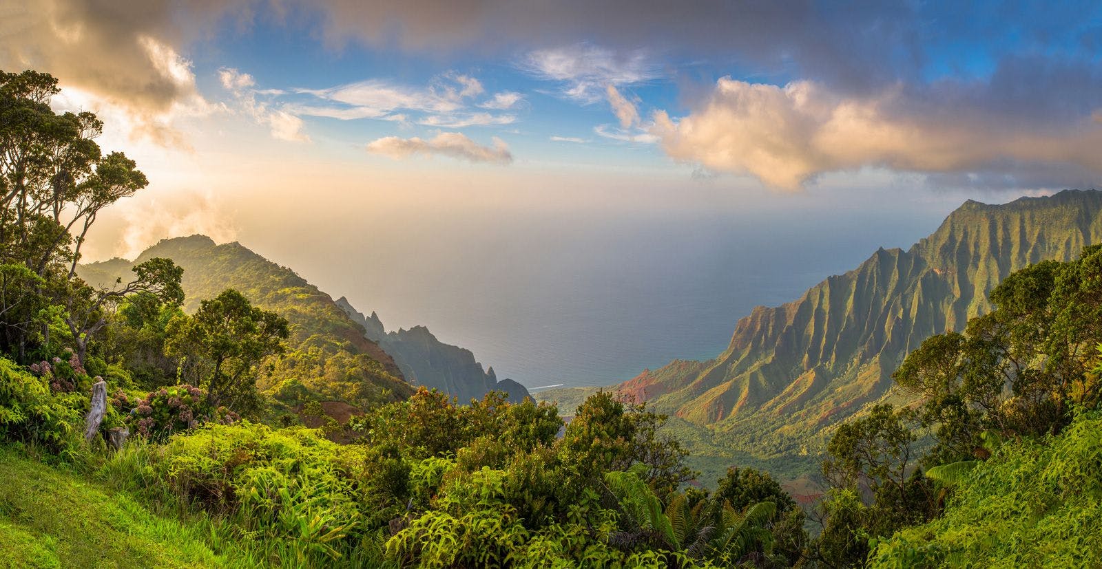 Hawaii island view of cliffs, forests and ocean
