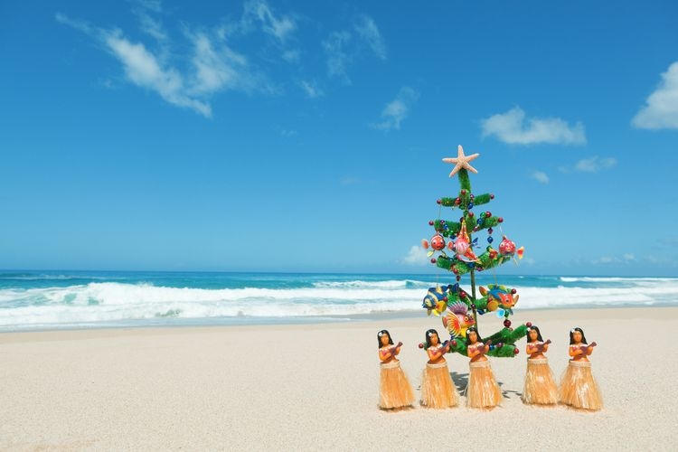 The best time to visit Kauai, Christmas, Top Villas