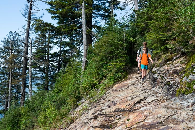 The best time to visit the Great Smoky Mountains, Top Villas