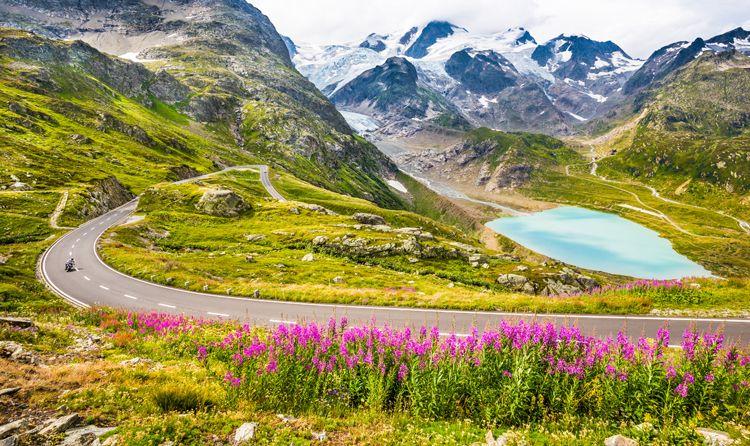 Spring flowers and a glacial lake high in the Dolomites mountains in Italy