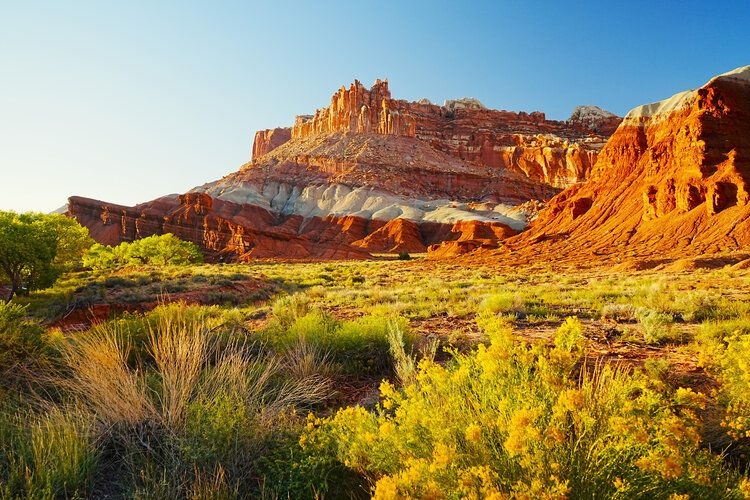 Things to do in Utah Capitol Reef, Top Villas