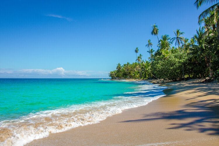 A beautiful pristine beach in Costa Rica