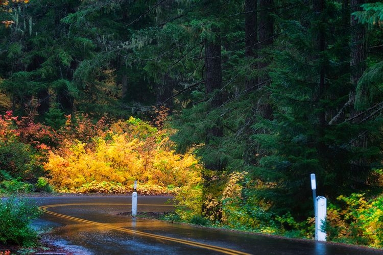 Things to do in Oregon, McKenzie Pass Santiam Pass drive