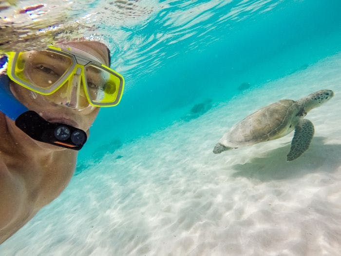 A young male snorkeler enjoys swimming alongside a sea turtle
