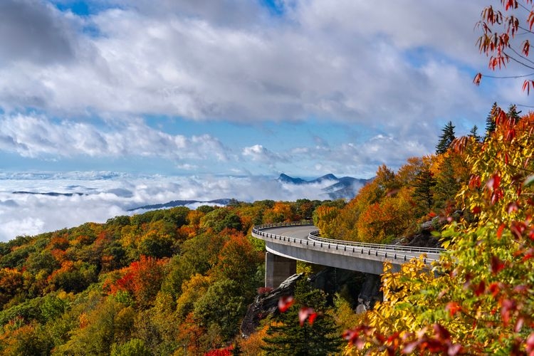 Things to do in Asheville NC, Blue Ridge parkway, Top Villas