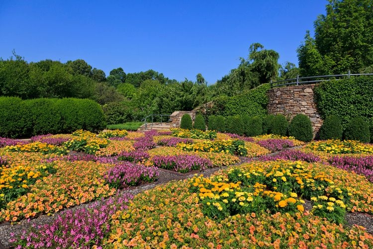 Things to do in Asheville NC, North Carolina Arboretum, Top Villas