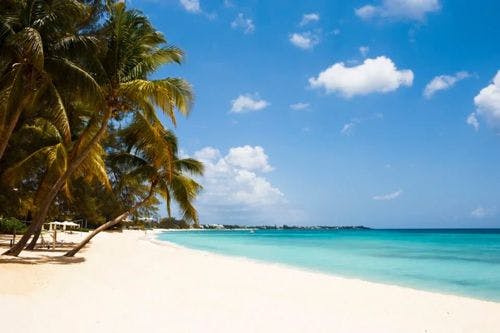 A white sand beach with palm trees