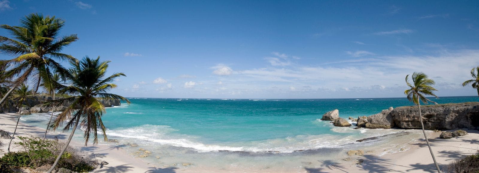Panoramic view of a white sand beach in Barbados with palm trees, and clear blue sea 