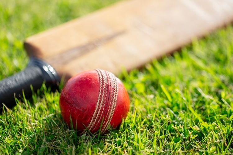 Close up of a cricket bat and ball on grass