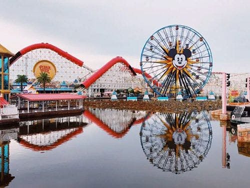 A ferris wheel and roller coaster in Disneyland