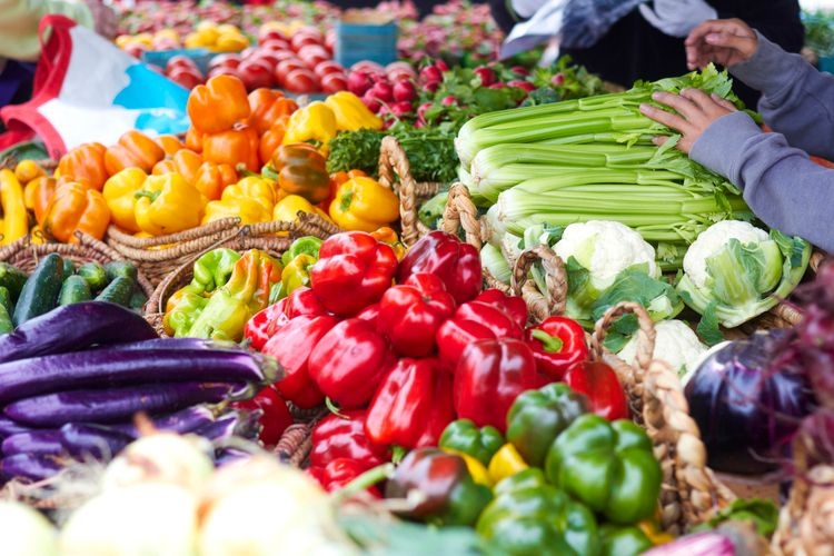 Things to do in Cape Coral Farmers market, Top Villas