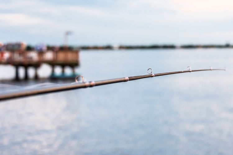 Things to do in Cape Coral, pier fishing, Top Villas