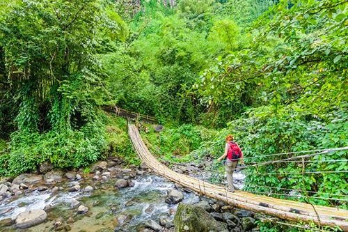A person crossing a rope bridge in the rainforest