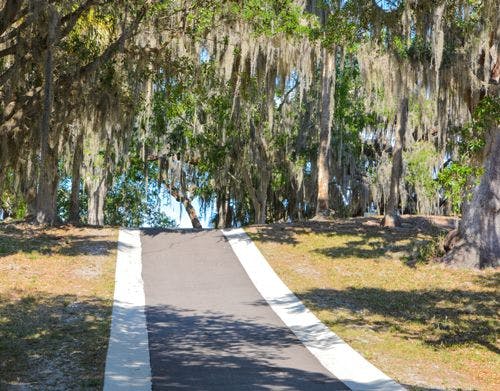 A walking path through Spanish moss trees on the Pinellas Trail in Clearwater