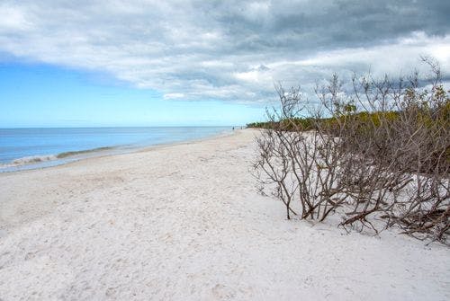 White sand beach in Honeymoon Island State park