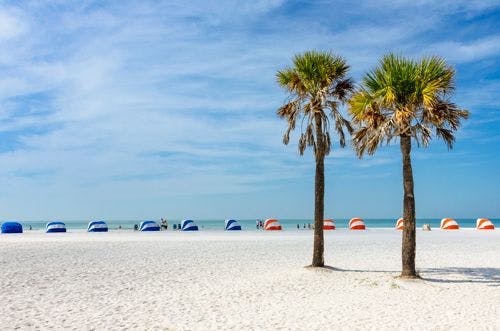 Two palm trees on a white sand beach