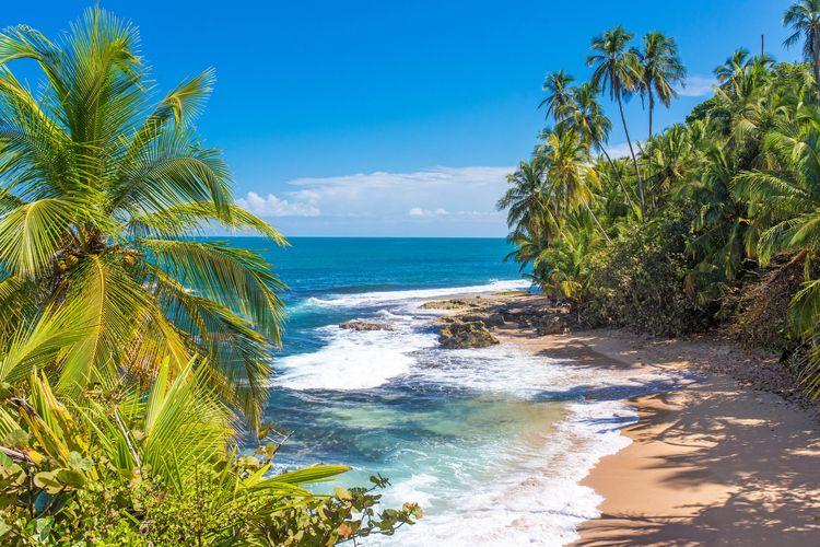 Things to do in Costa Rica, beach setting, Top Villas