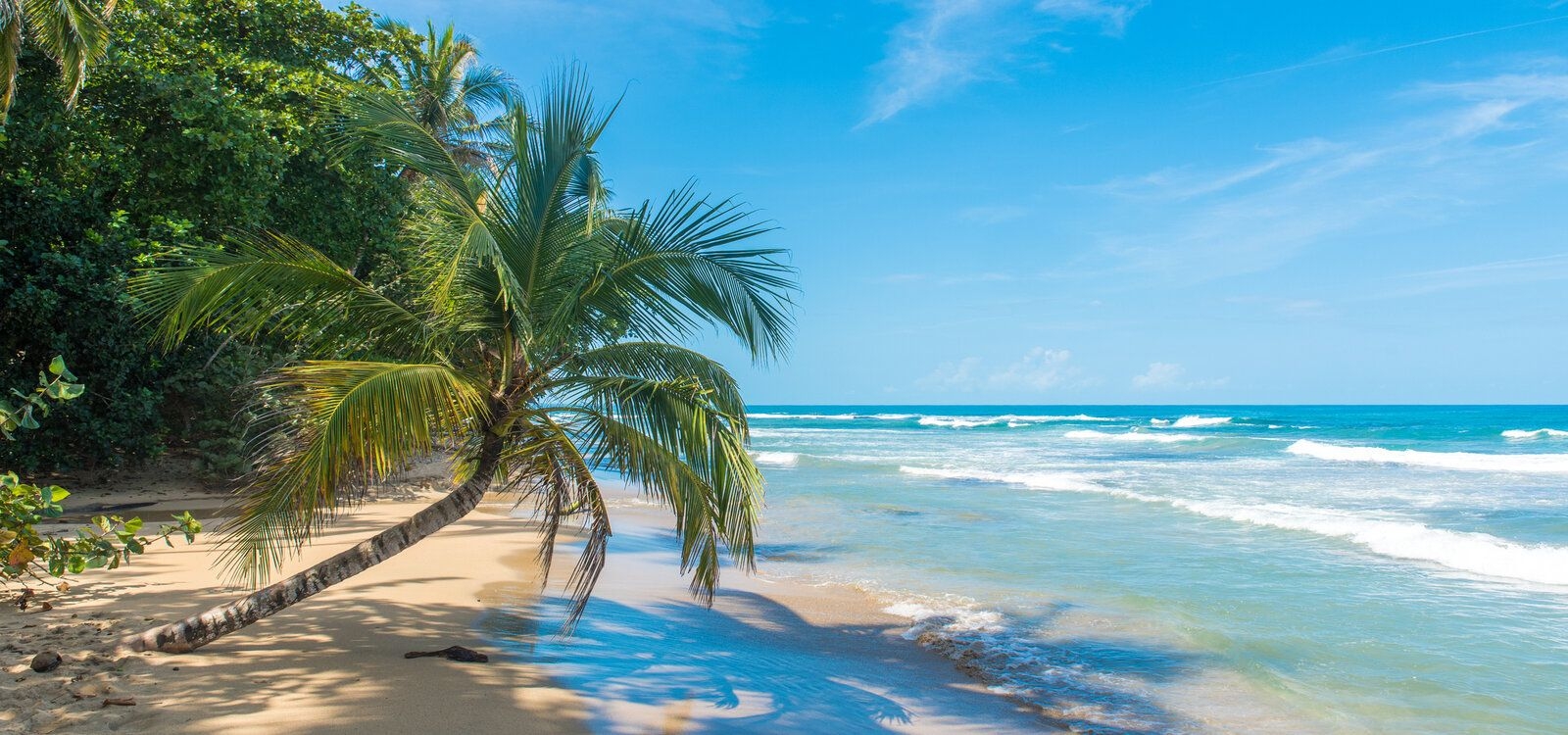 Things to do in Costa Rica, beach, Top Villas