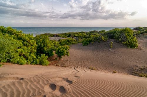 Sand dunes by the sea in the Dominican Republic