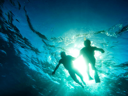 Underneath shot of two people snorkeling