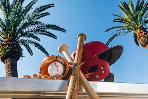 Baseball glove, helmet, bats, and ball on a table beneath palm trees