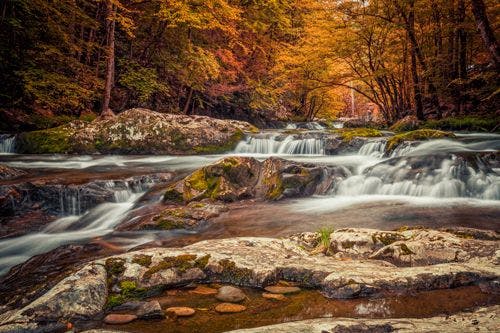 Scenic waterfall and stream landscape in a forest near Gatlinburg